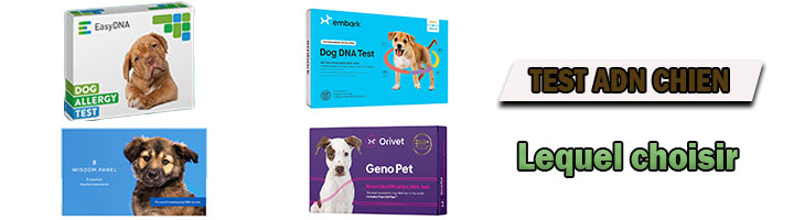 Test ADN pour chiens Starter